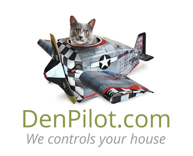 Den Pilot